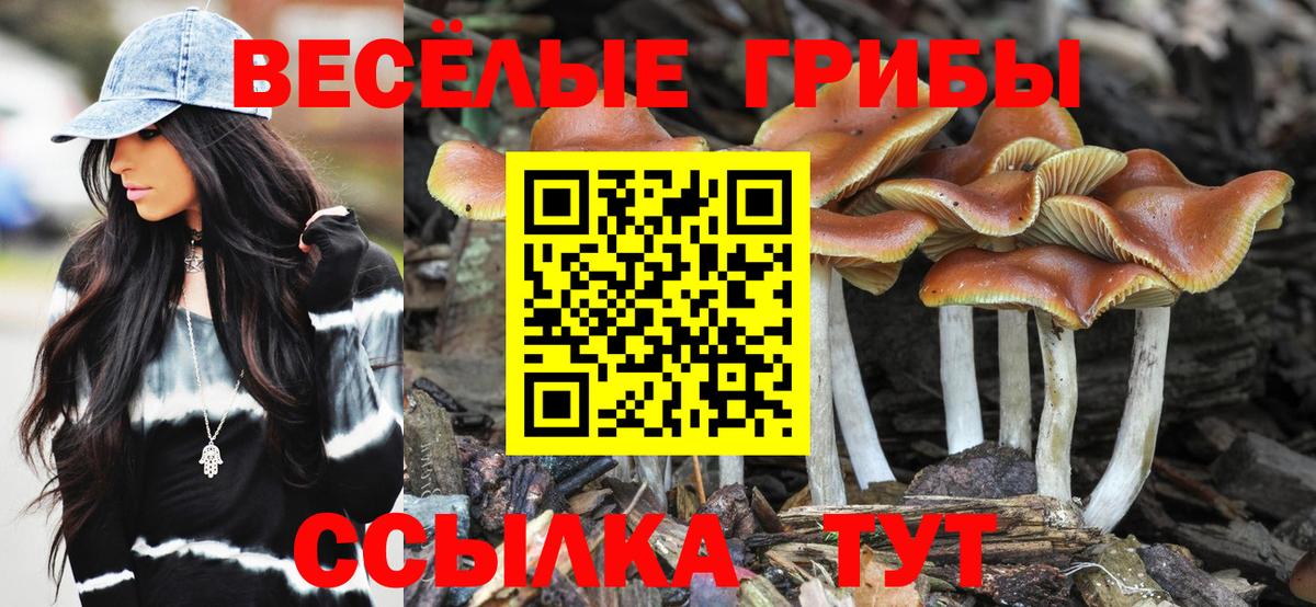 что такое   Вход с VPN  Тавда  Галлюциногенные грибы мухоморы 