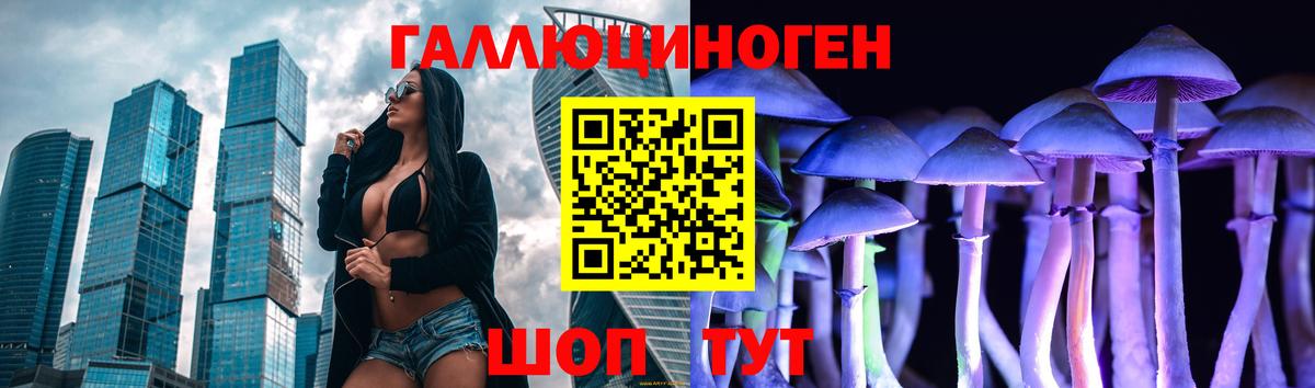Галлюциногенные грибы Cubensis Тавда